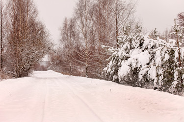 Similar image 5633904