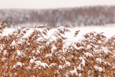 Similar image 5633905