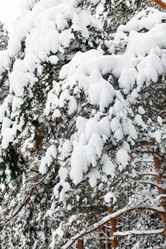 Similar image 5633918