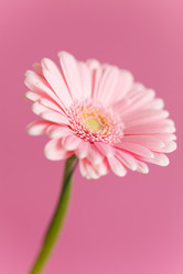 Similar image 5633923