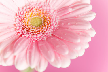 Similar image 5633924