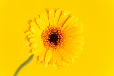 Similar image 5633927