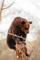 Similar image 5633935