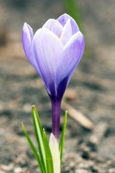 Similar image 5633944