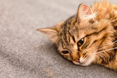 Similar image 5633955