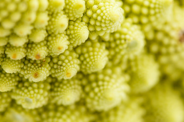 Similar image 5633956