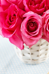 Similar image 5633957