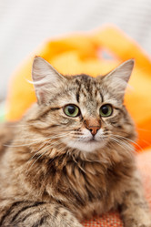 Similar image 5633988