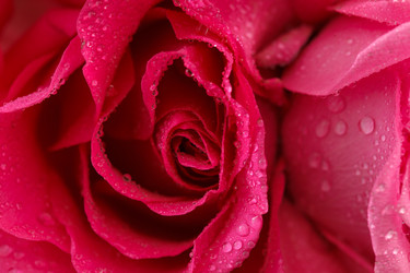 Similar image 5633999