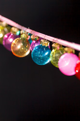 Similar image 5634009