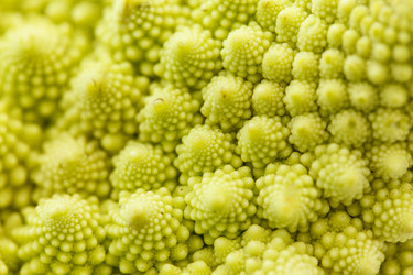 Similar image 5634027