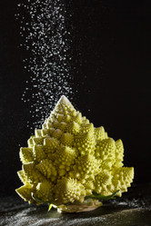 Similar image 5634038