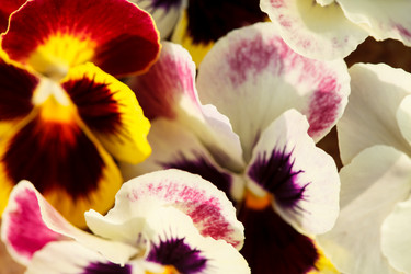 Similar image 5634040