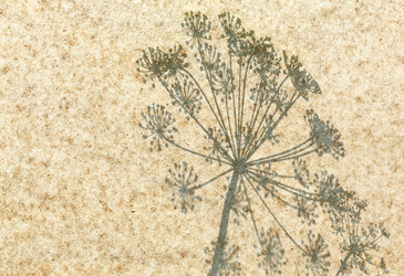 Similar image 5634045