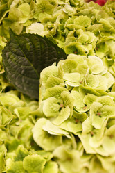 Similar image 5634050