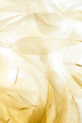 Similar image 5634051