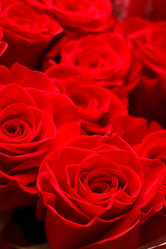 Similar image 5634052