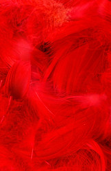 Similar image 5634053