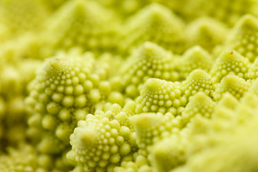 Similar image 5634069