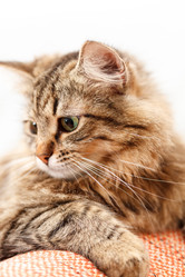 Similar image 5634087