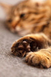 Similar image 5634088