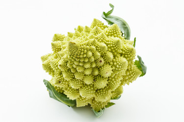 Similar image 5634098