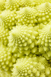 Similar image 5634099