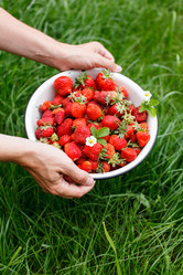 Similar image 5634102