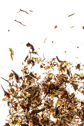 Similar image 5634150