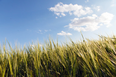 Similar image 5634165