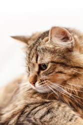 Similar image 5634203