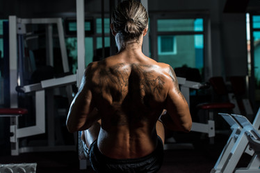 Similar image 5634593