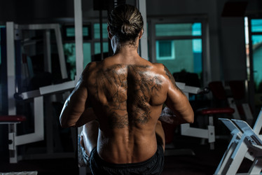 Similar image 5634594