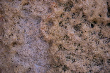 Similar image 5634813