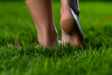 Similar image 5634972