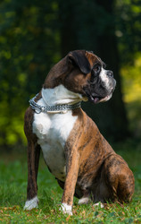 Similar image 5635001