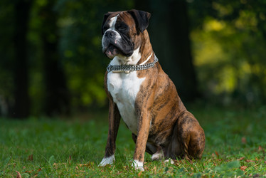 Similar image 5635006