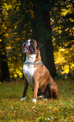 Similar image 5635008