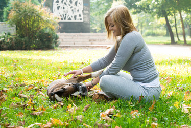 Similar image 5635025