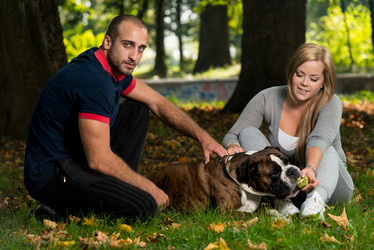 Similar image 5635027