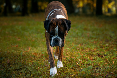 Similar image 5635030