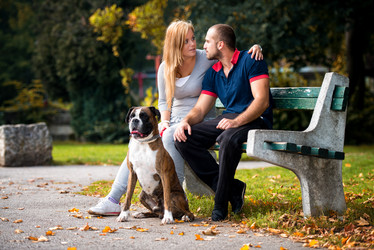 Similar image 5635033