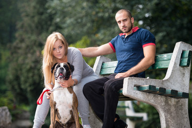 Similar image 5635036