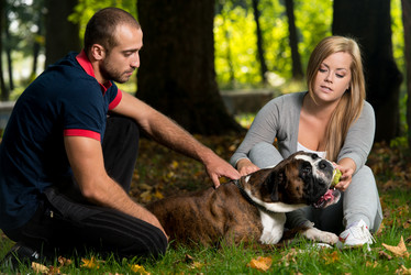 Similar image 5635038