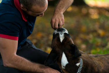 Similar image 5635043