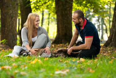 Similar image 5635052