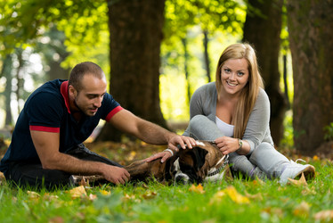 Similar image 5635055