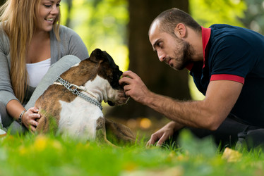 Similar image 5635057