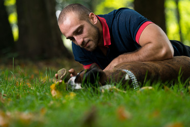 Similar image 5635062