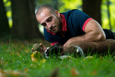 Similar image 5635063